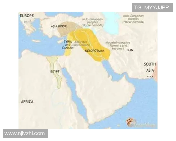 巴勒斯坦与西班牙联合的历史交汇与未来展望分析